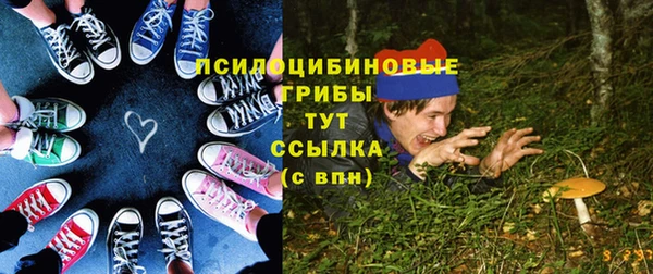 стафф Белокуриха