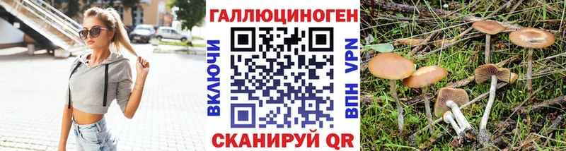 купить   Мариинский Посад  Псилоцибиновые грибы Psilocybine cubensis 